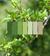 Biophilic Design - Colour