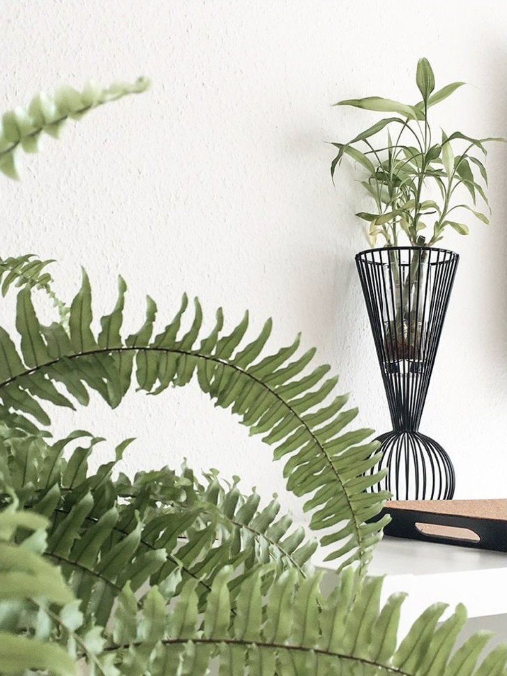DforDesign Biophilic