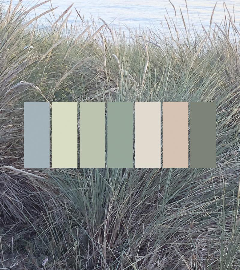 Claire Gaudion biophilic design ideas and colour inspiration