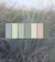 Claire Gaudion biophilic design ideas and colour inspiration